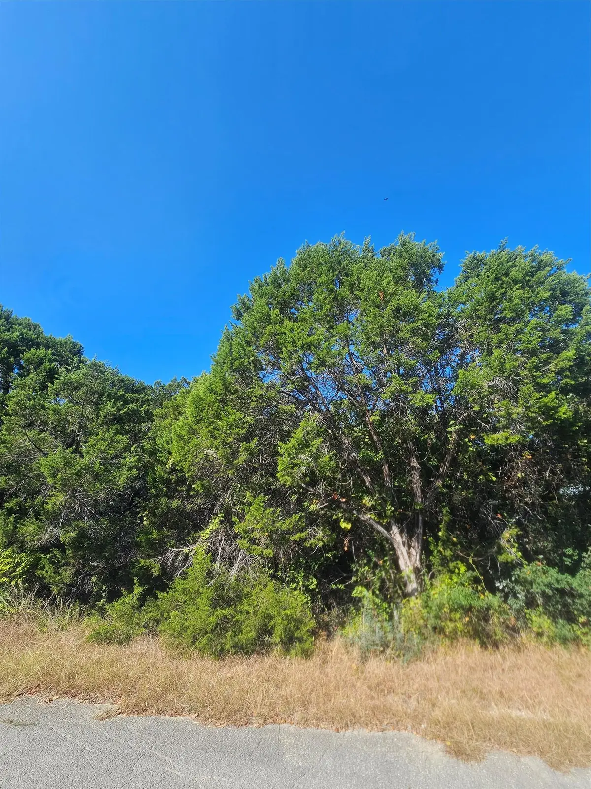 7406 White Oak Dr, Lago Vista, TX 78645 - Image #1