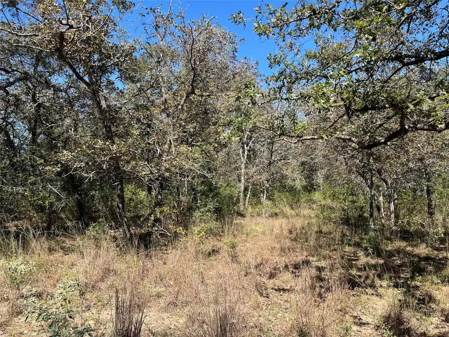 TBD Flash Cir, Luling, TX 78648 - #3