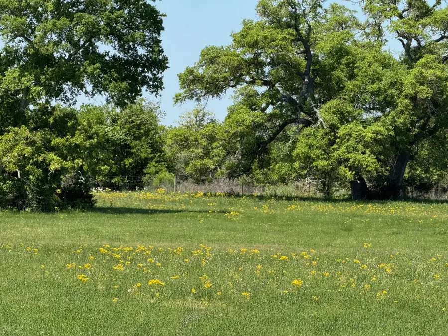 3817 Fm 154 Rd, Muldoon, TX 78949 - #2