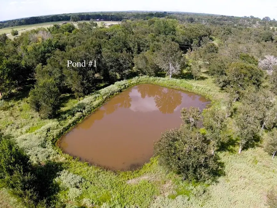 1085 County Road 426, Dime Box, TX 77853 - #3
