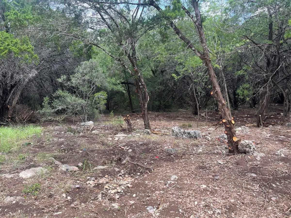 7413 Spanish Oak Dr, Lago Vista, TX 78645 - #1