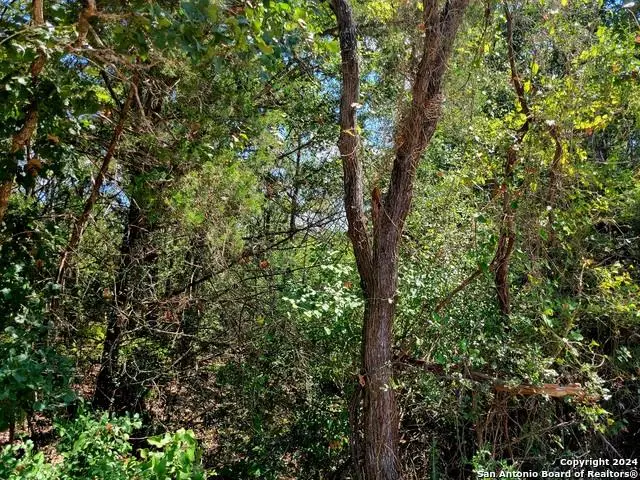 TBD Dale Rd, Dale, TX 78616 - Image #2