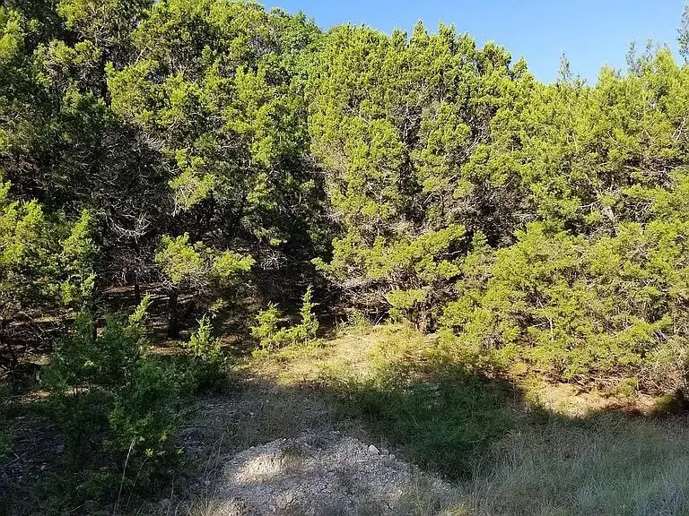 21003 Stone Cliff Dr, Lago Vista, TX 78645 - Image #1