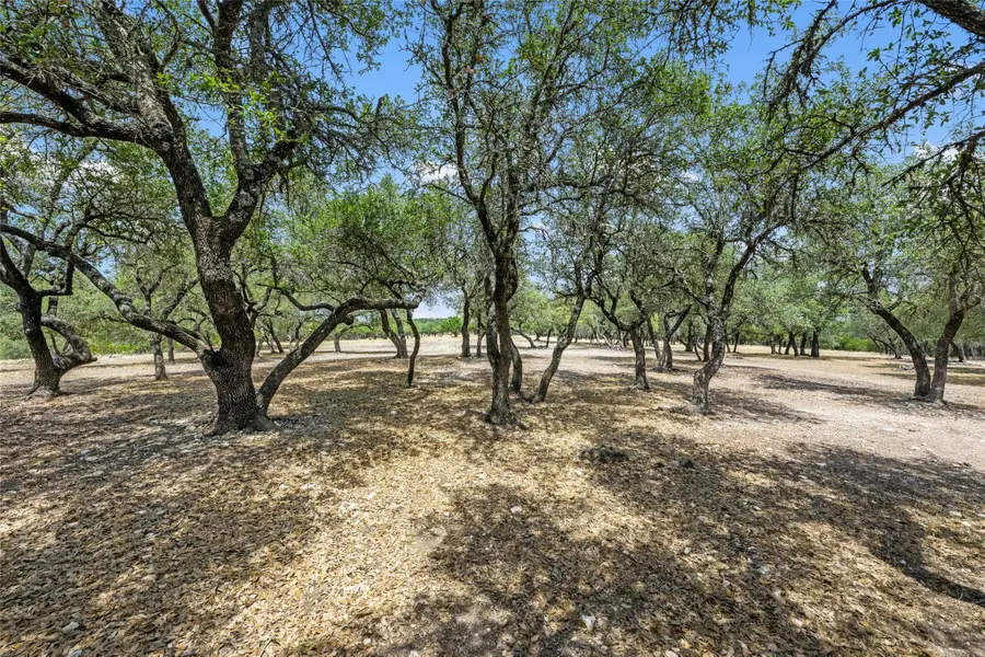 TBD South Oak Forest Dr, Dripping Springs, TX 78620 - #2