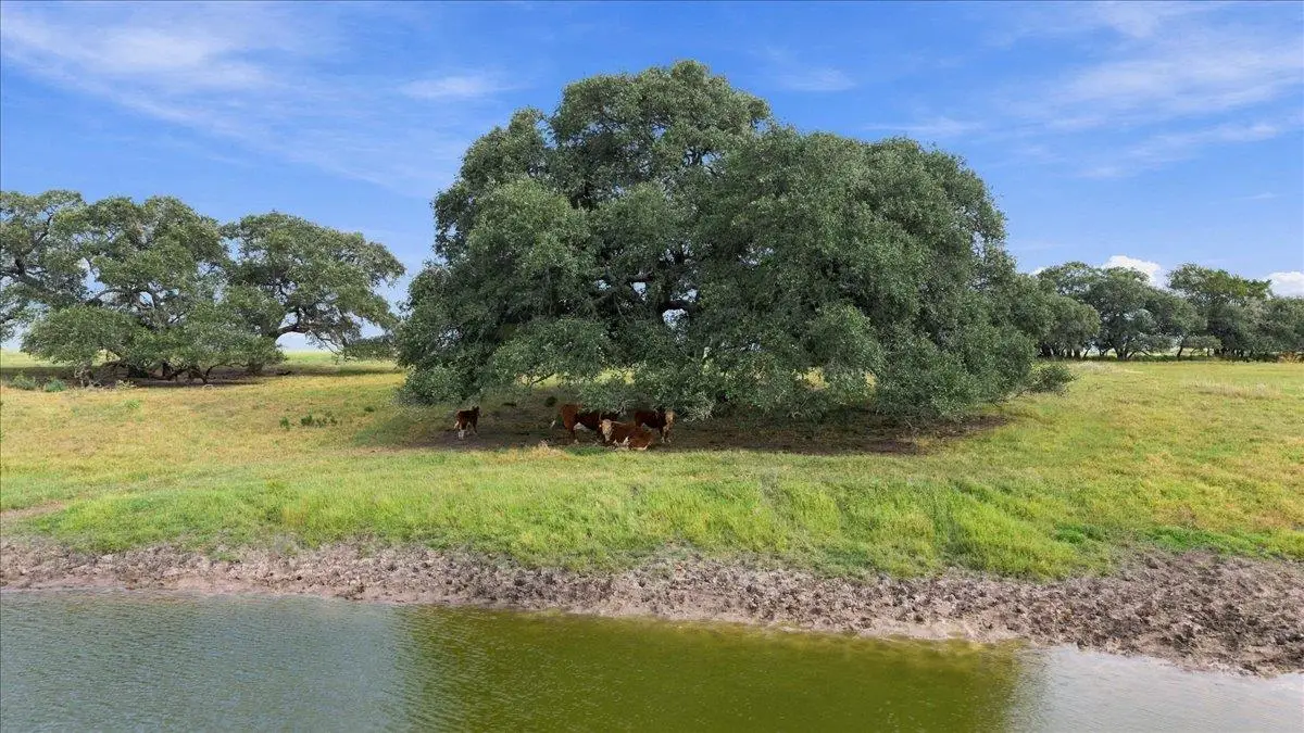 2561 Roitsch Rd, Schulenburg, TX 78956 - #1