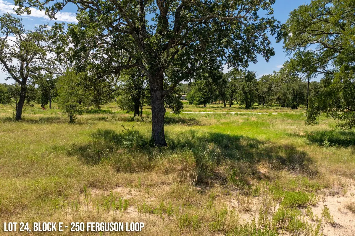 250 Ferguson Loop, Dale, TX 78616 - Image #1