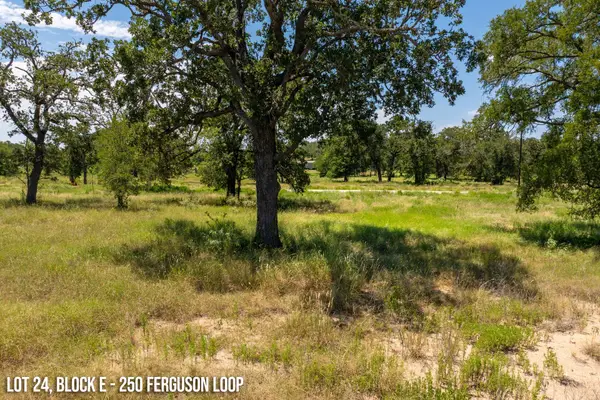 250 Ferguson Loop, Dale, TX 78616