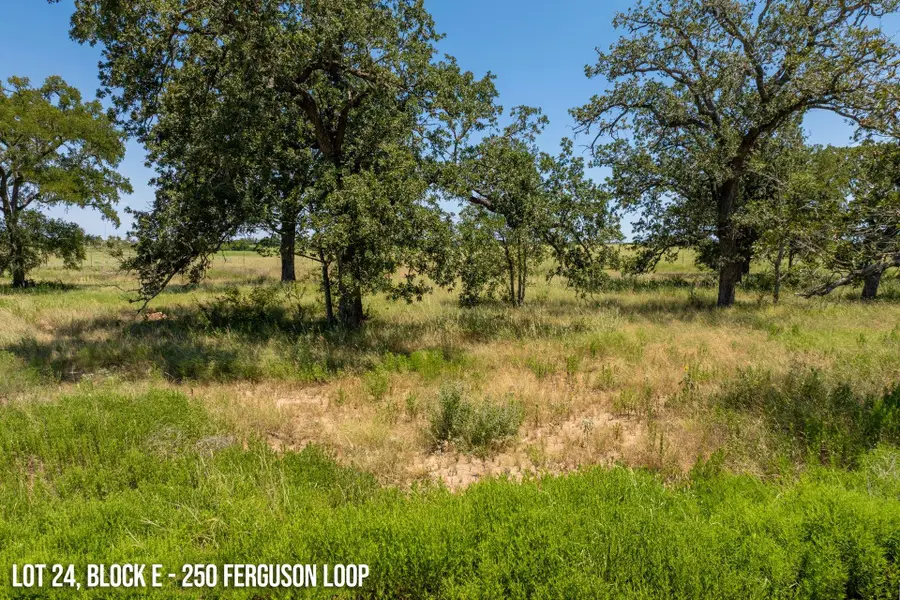 250 Ferguson Loop, Dale, TX 78616 - Image #2