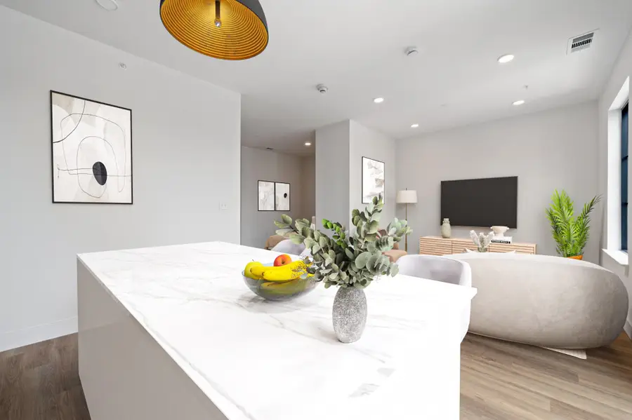 4315 S Congress Ave #522, Austin, TX 78745 - #3