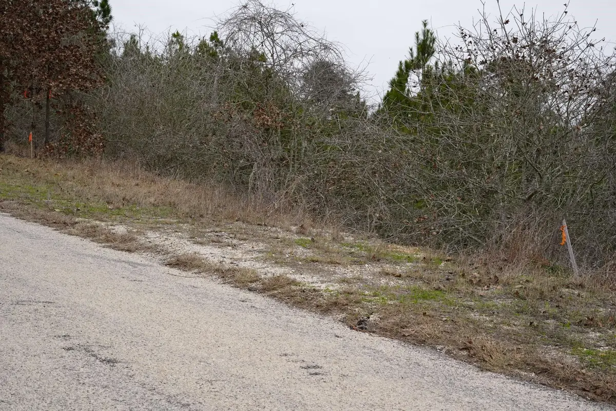 TBD Lot 858 Mamalu Dr, Bastrop, TX 78602 - Image #1