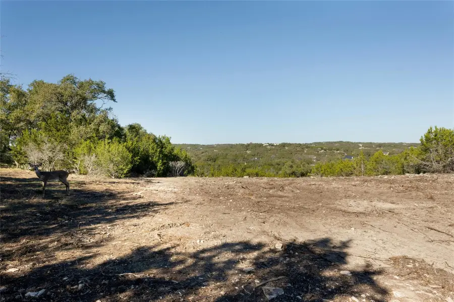 736 Covered Bridge Dr, Driftwood, TX 78619 - Image #2