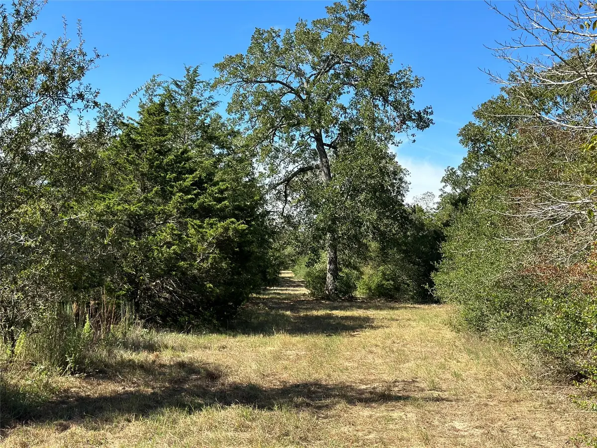 105 Colony Line Trl, Dale, TX 78616 - #1