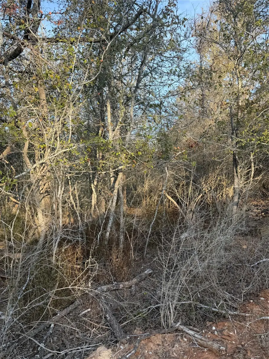 156 and 160 Helemano Dr, Bastrop, TX 78602 - #3