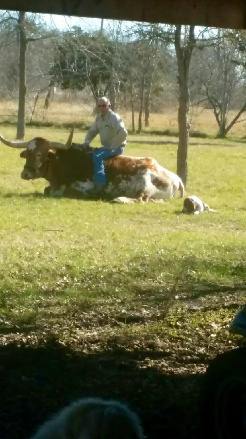 7406 Nez Perce Trce, Manor, TX 78653 - Image #1