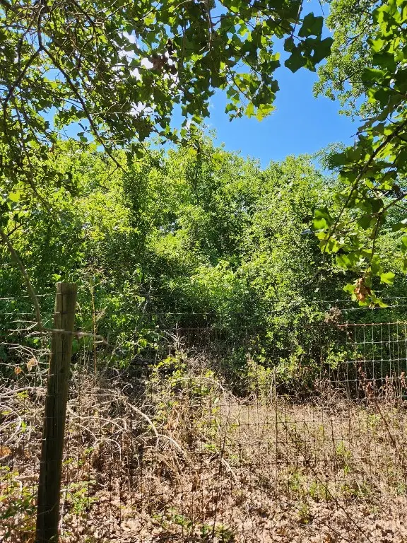 Lot-49 Flaming Oak Drive, Bastrop, TX 78602 - #3