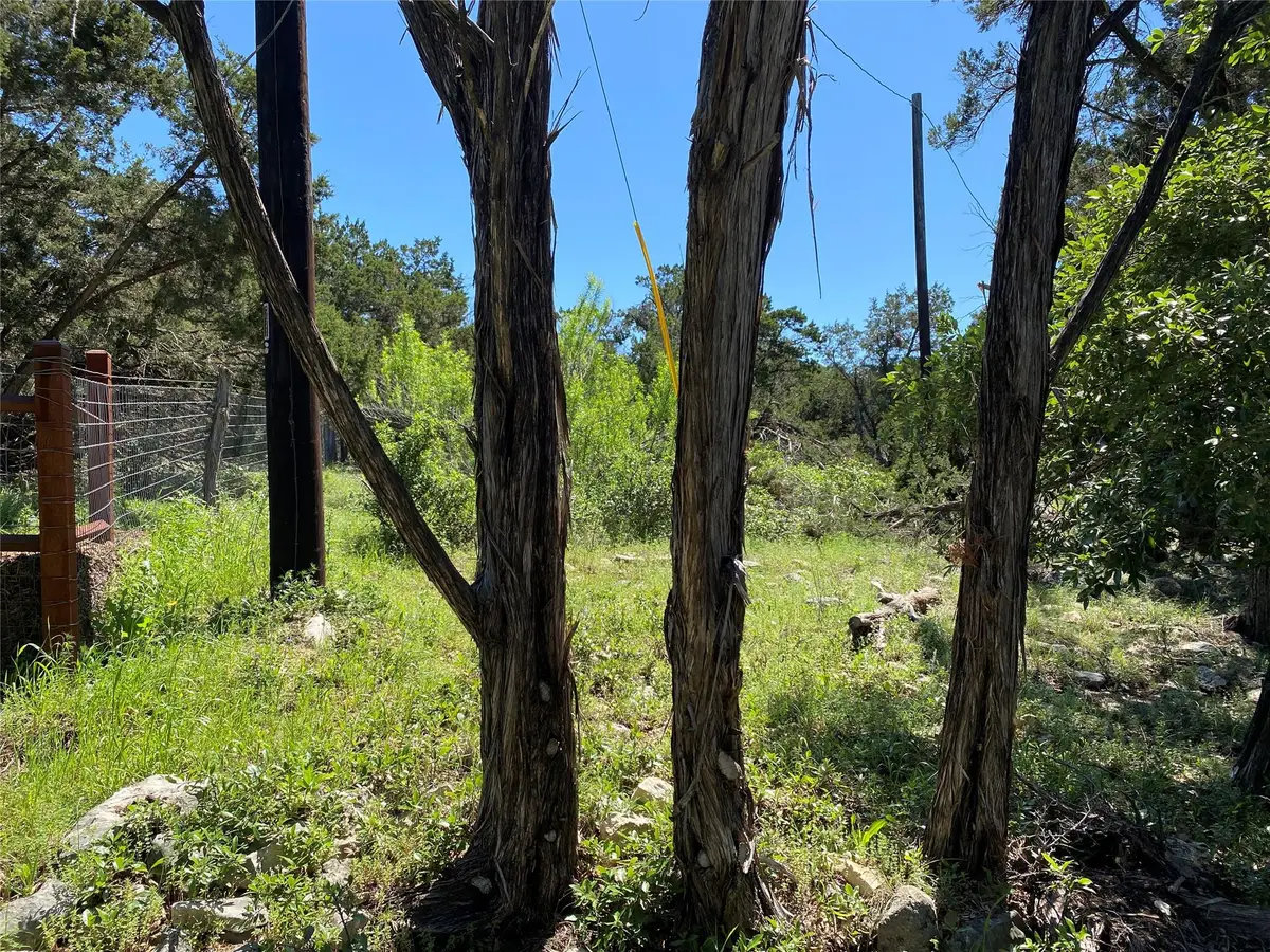 2934 Elm Terrace Ln, Wimberley, TX 78676 - #1