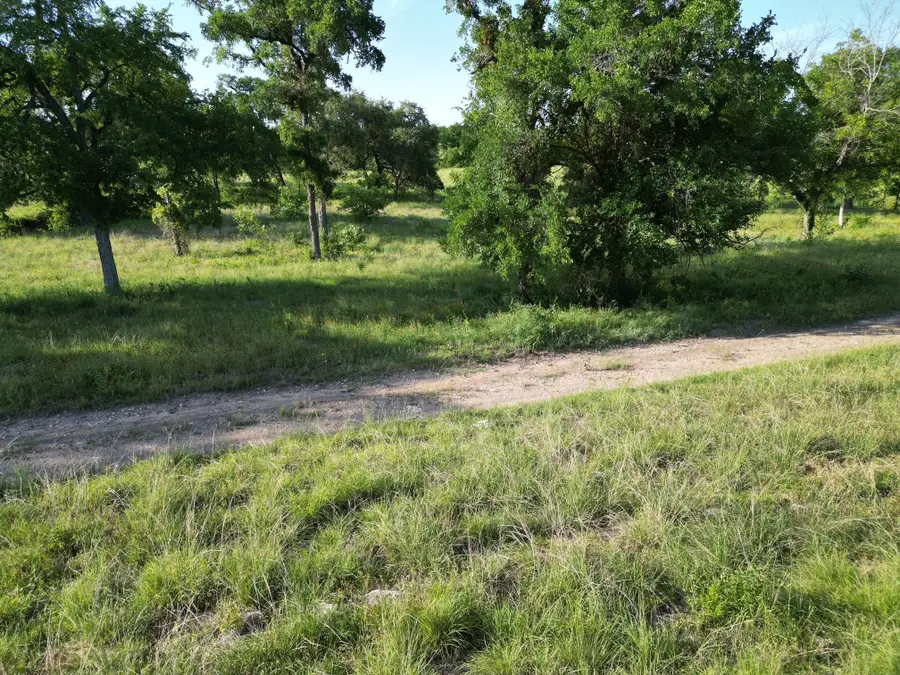 Lot 28 Serenity Dr, Bertram, TX 78605 - Image #2