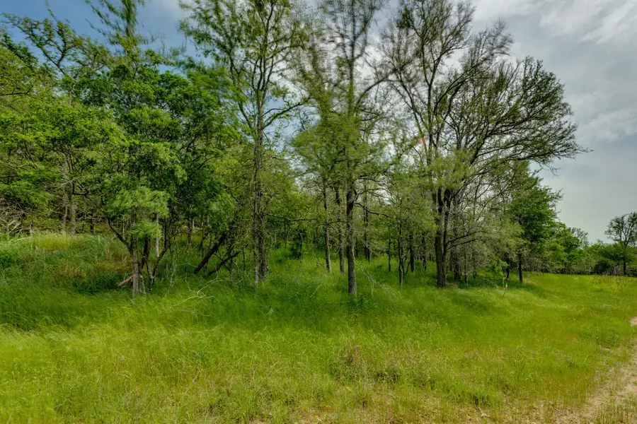 111 Hauula Ct, Bastrop, TX 78602 - Image #3