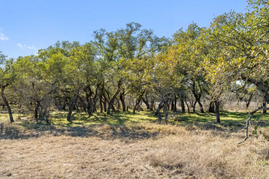 1422 Rm 2766, Johnson City, TX 78636 - Image #3