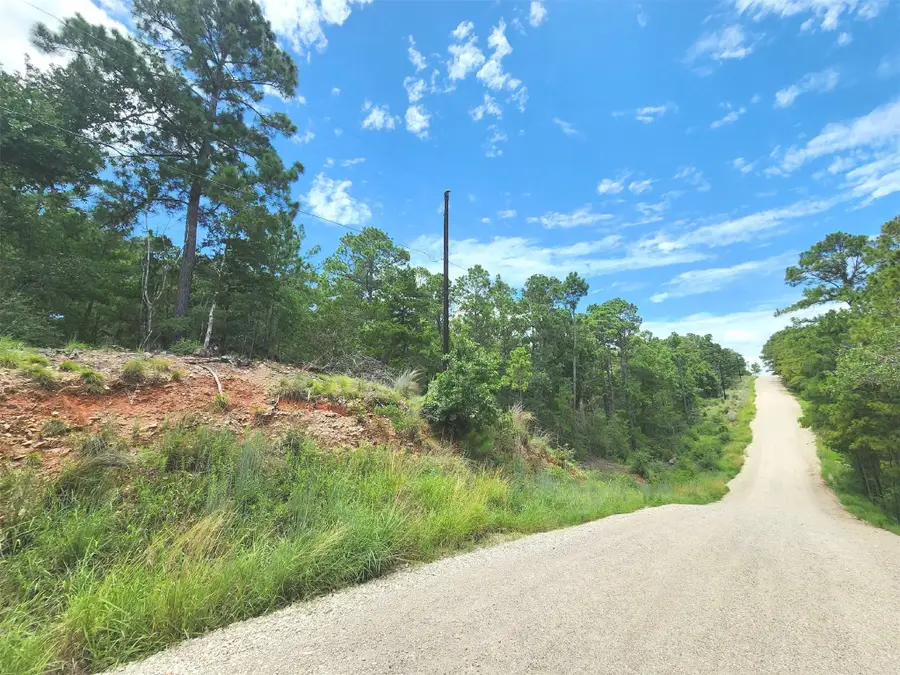 170 Molokini Dr, Bastrop, TX 78602 - Image #2