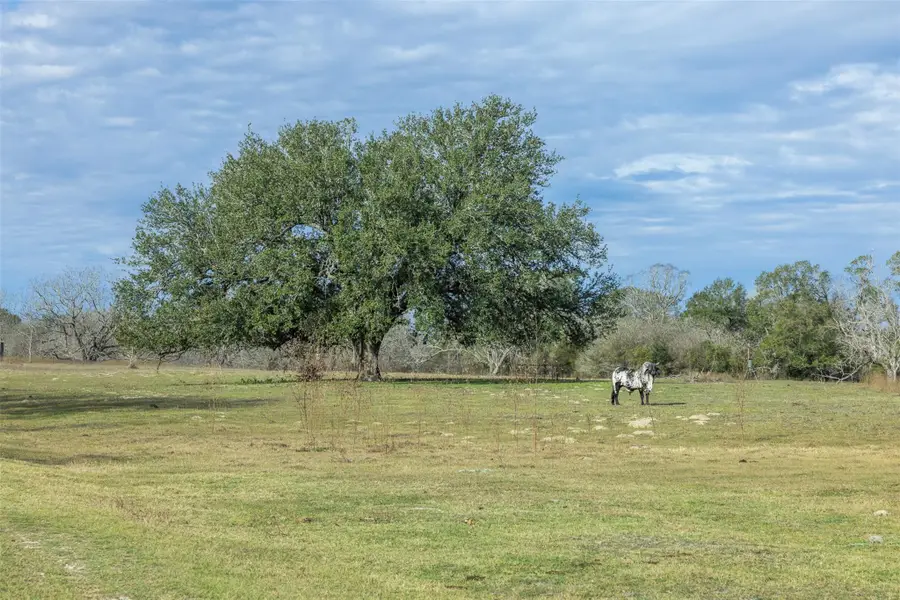 1820 South Old Smithville Rd, Flatonia, TX 78941 - Image #2