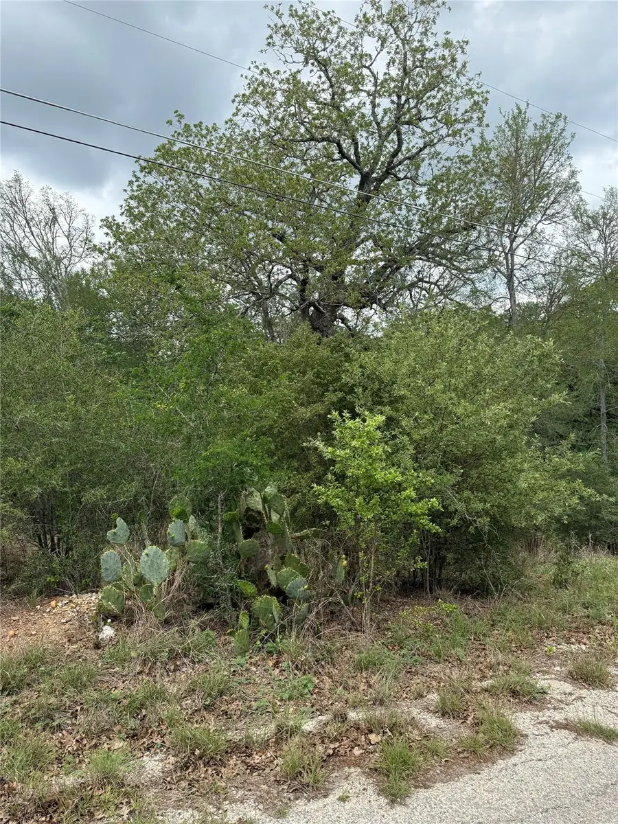 lot 69 Kaelepulu Dr, Bastrop, TX 78602 - #3