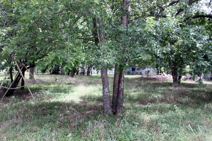 00 Laredo St, Lockhart, TX 78644 - Image #2