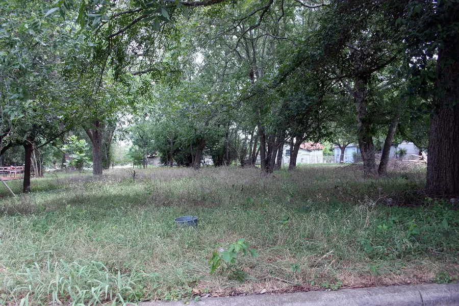 00 Laredo St, Lockhart, TX 78644 - Image #3