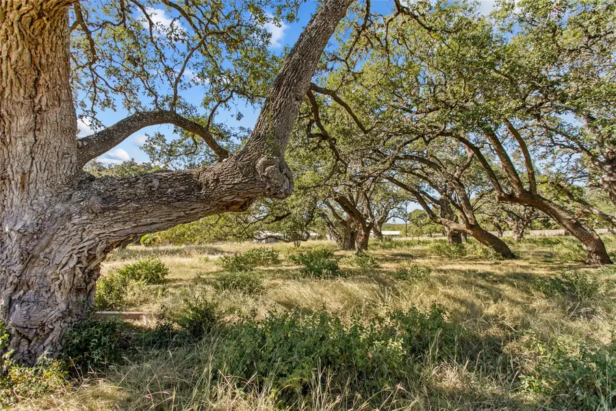 1316 Greenlawn Pkwy, Blanco, TX 78606 - #2