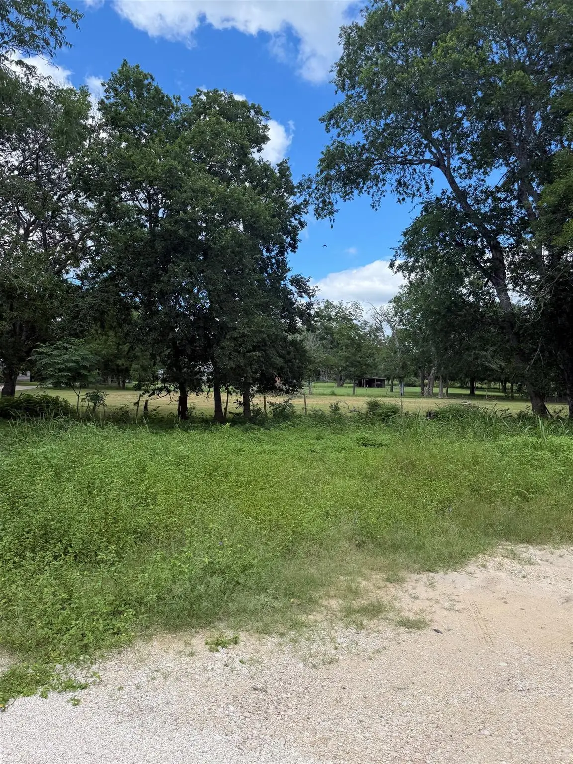 TBD Crockett St, Martindale, TX 78655 - #1