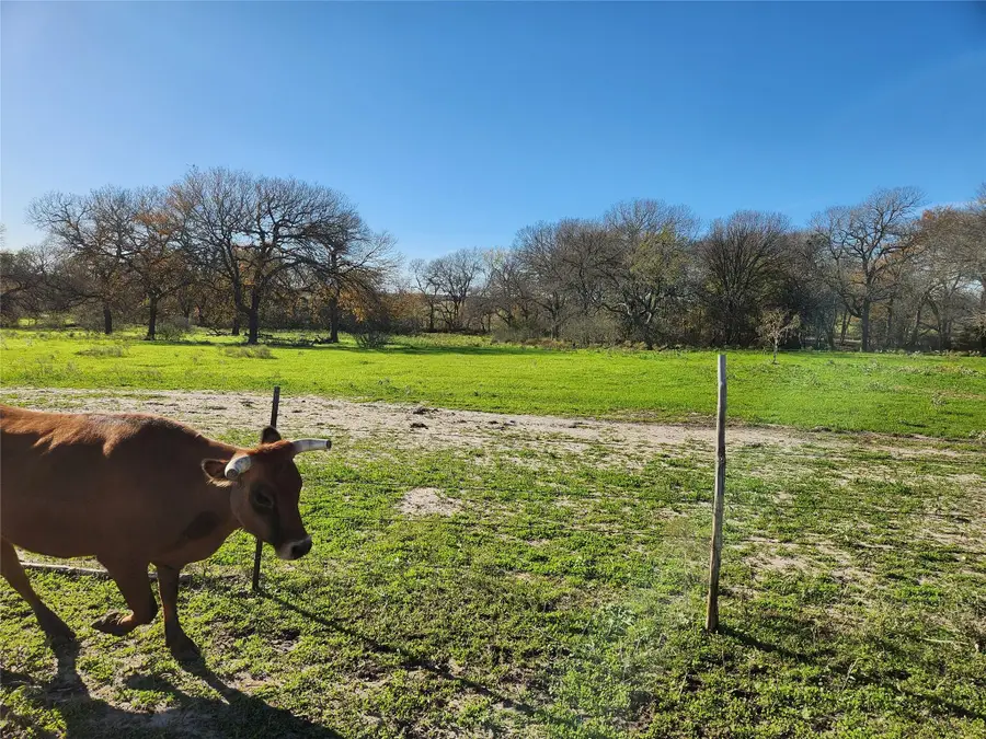 1333 County Road 414 Rd, Buckholts, TX 76518 - Image #2