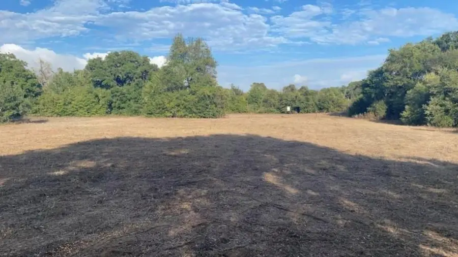 0000 Fm 141, Dime Box, TX 77853 - Image #3