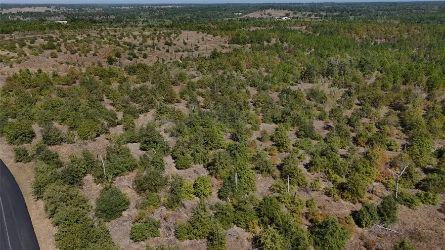 TBD Cottletown Rd, Smithville, TX 78957 - Image #2