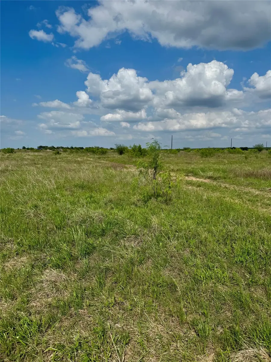 TBD Lot 14 Cr 473, Thrall, TX 76578 - #2