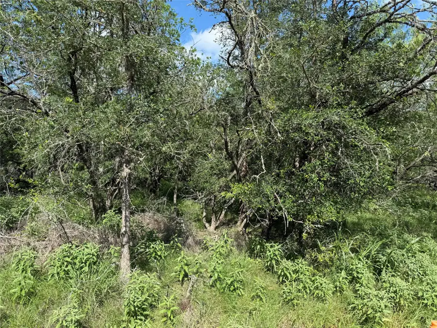 236 Mokulua Ln, Bastrop, TX 78602 - #3