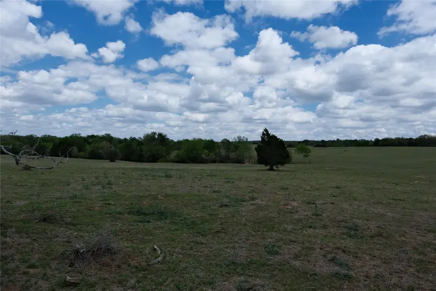 446 Herron Trl, McDade, TX 78650 - #3
