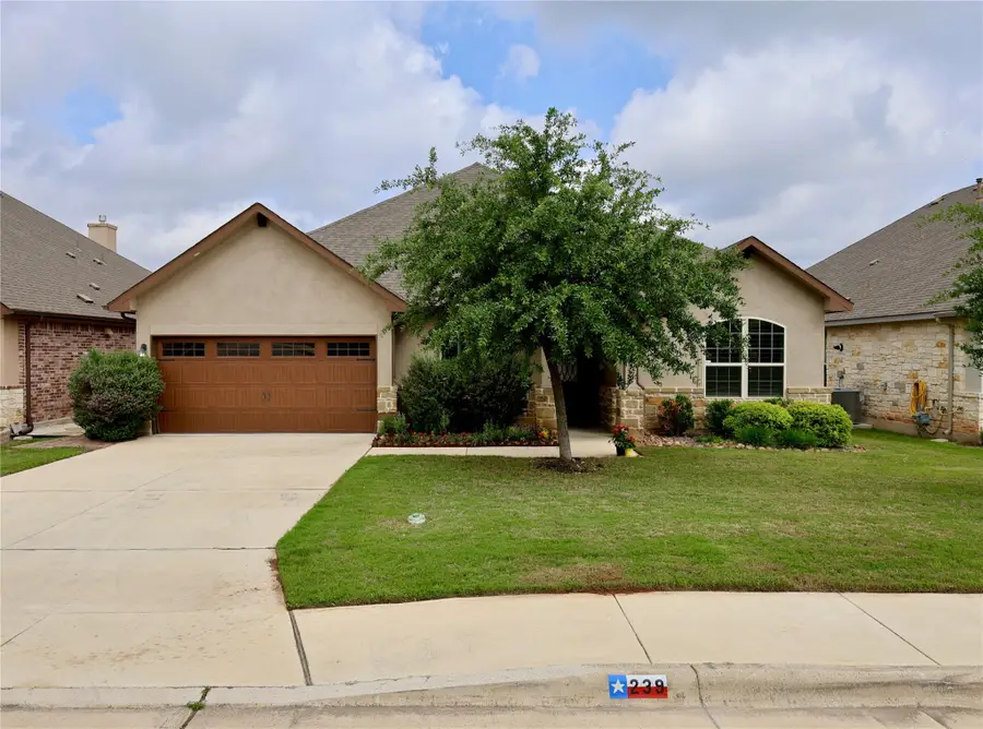 239 Bamberger Ave, New Braunfels, TX 78132 - #2