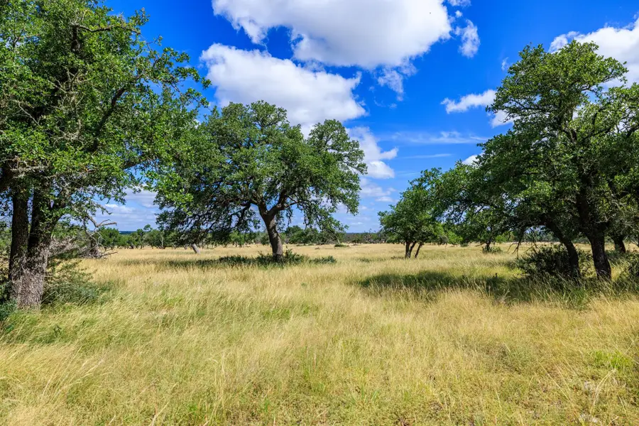 Lot 94 Stock Pond Dr, Harper, TX 78631 - Image #3