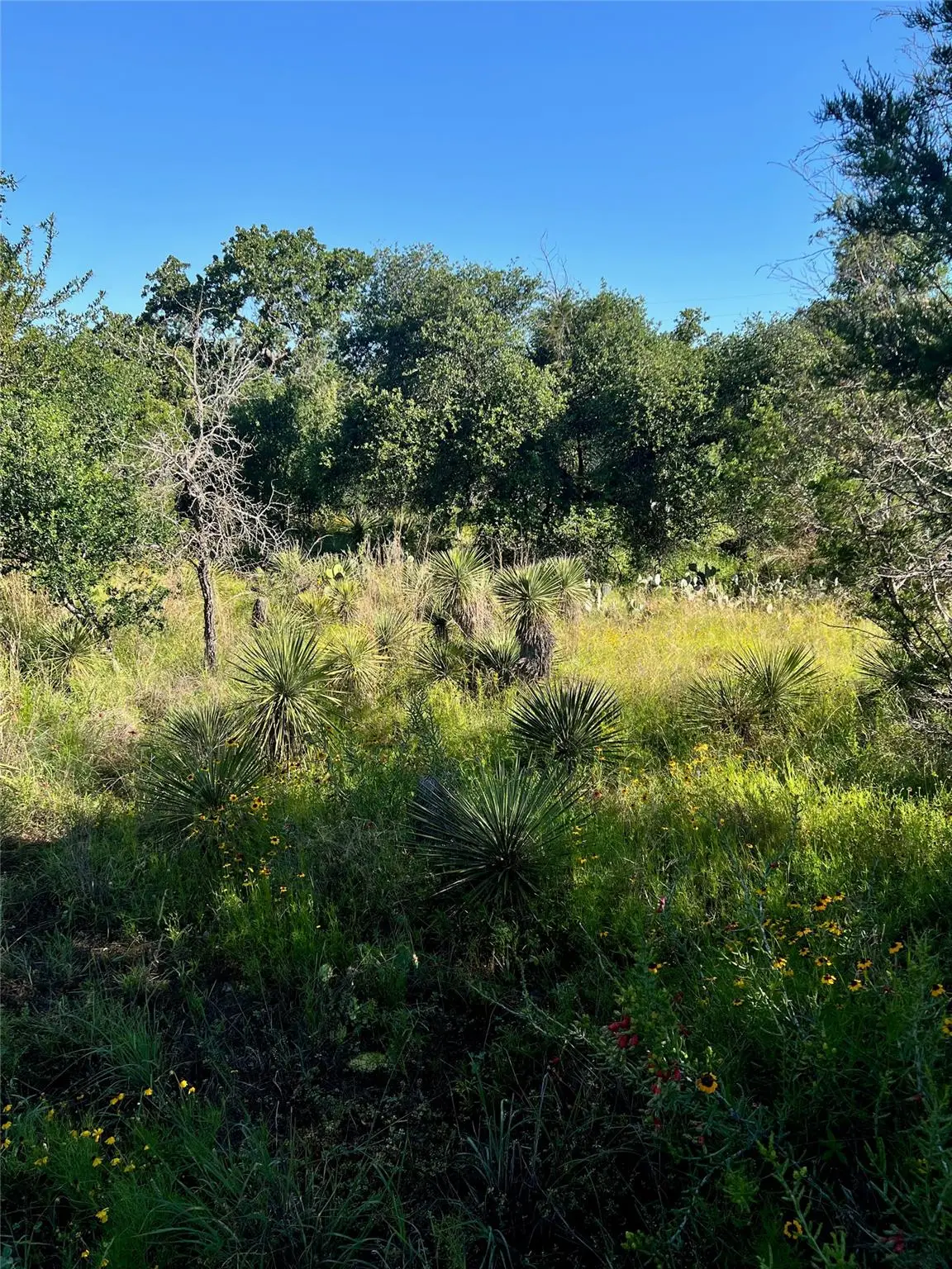 TBD Castlelake Dr, Granite Shoals, TX 78654 - #1