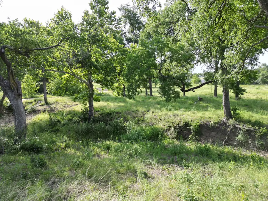 Lot 29 Serenity Dr, Bertram, TX 78605 - Image #3