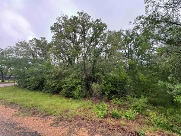 319 Shady Oak St, Somerville, TX 77879