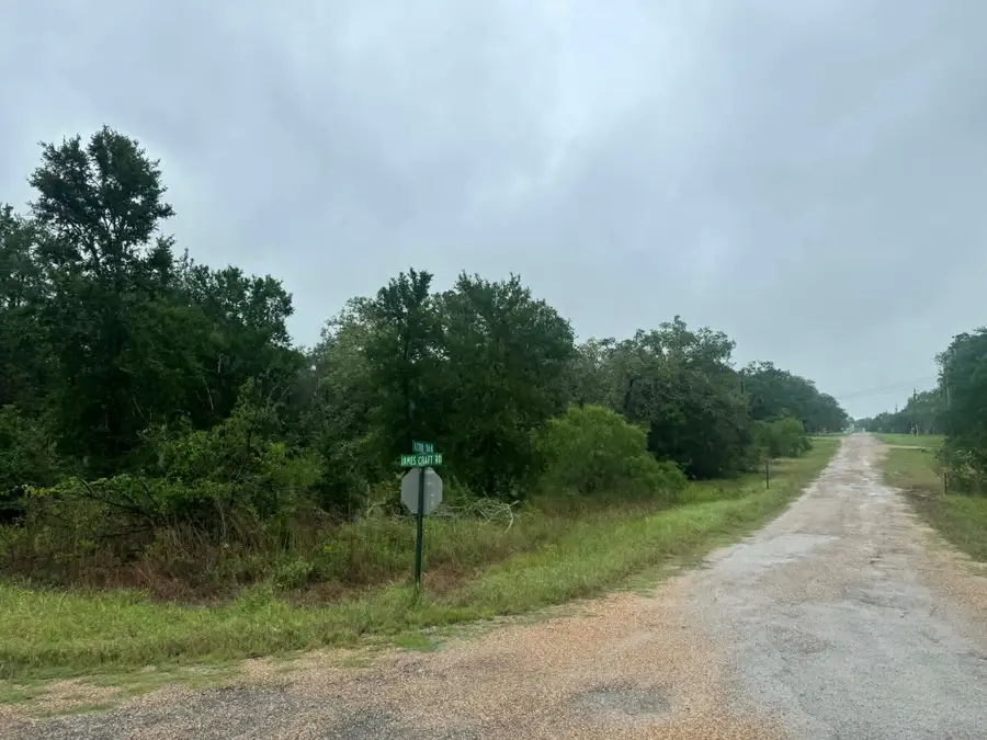 319 Shady Oak St, Somerville, TX 77879 - #3