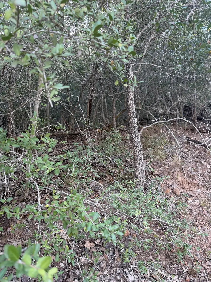 Lot 376 Palikea Cir, Bastrop, TX 78602 - #2