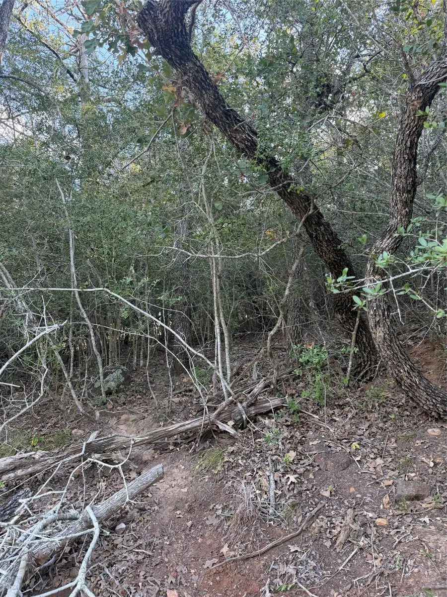 Lot 376 Palikea Cir, Bastrop, TX 78602 - #3