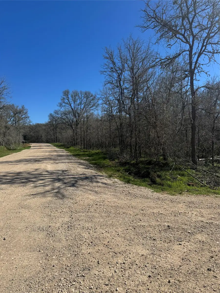 Lot 321 Kolekole Ln, Bastrop, TX 78602 - Image #2
