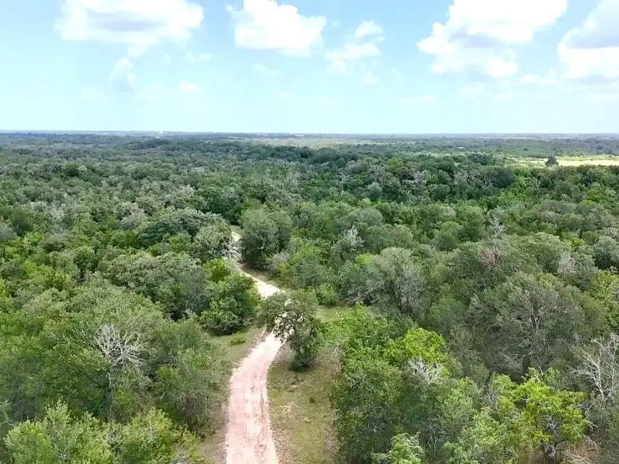 0 County Road 417, Waelder, TX 78959 - Image #2