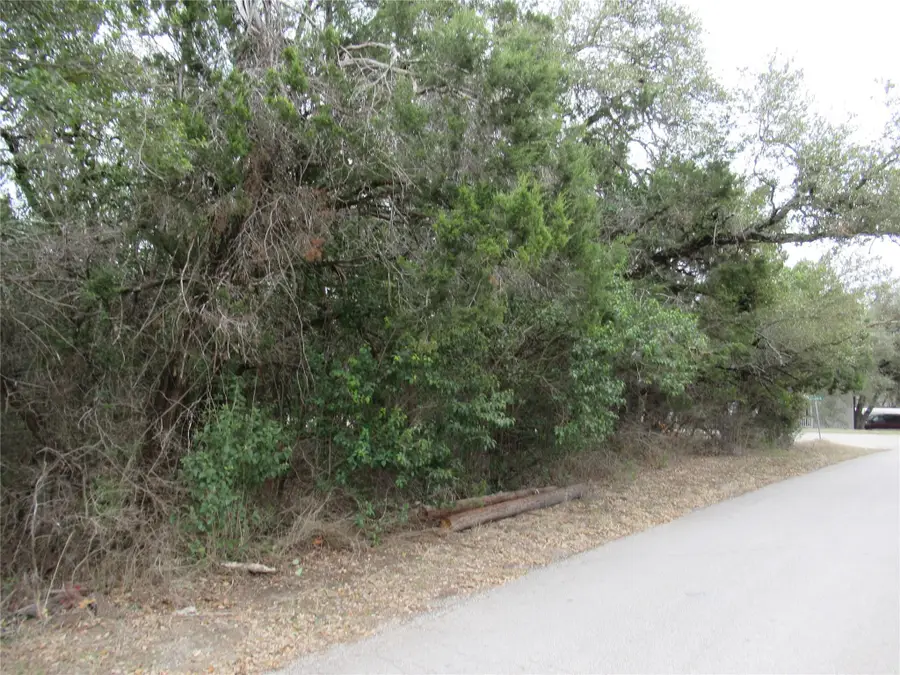 10802 Crestview Dr, Jonestown, TX 78645 - Image #3