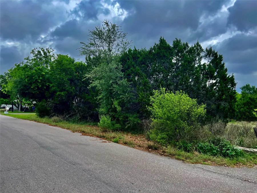 15006 Pheasant Ln, Austin, TX 78734 - #3