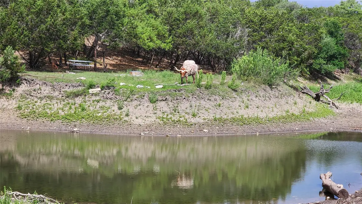 110 Longhorn Ln, Dripping Springs, TX 78620 - Image #1