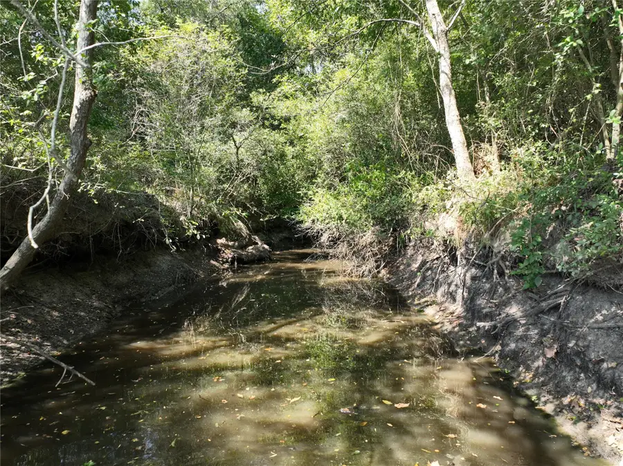 TBD(+/- 237.91 AC) Hwy 36 S, Caldwell, TX 77836 - Image #3